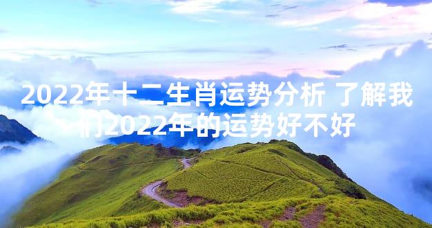 2022年十二生肖运势分析 了解我们2022年的运势好不好