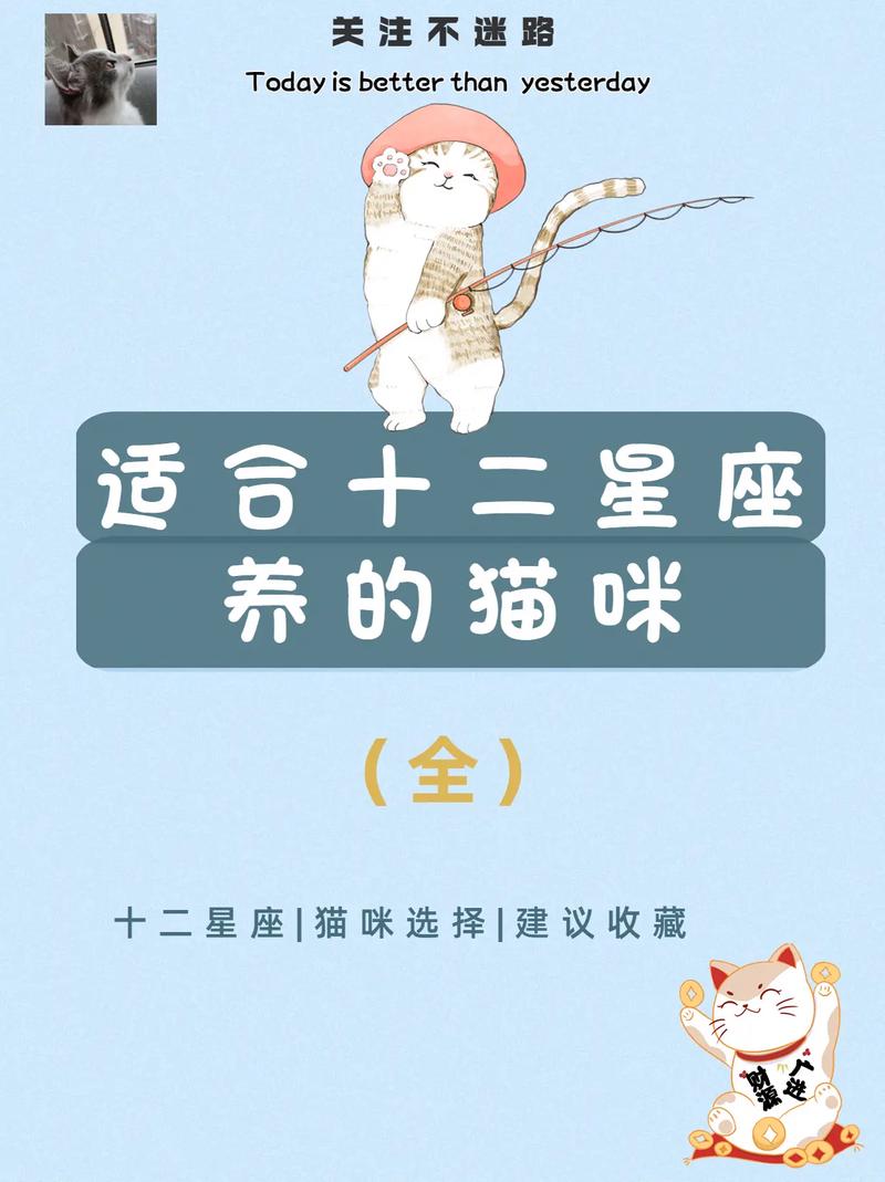 摩羯座猫猫性格特点<font color='red'>女性</font> 摩羯座的专属小宠物