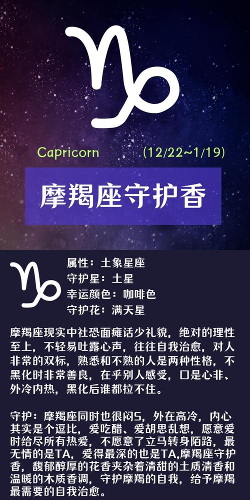 摩羯座最喜欢的是什么座 摩羯女喜欢每晚都聊天吗