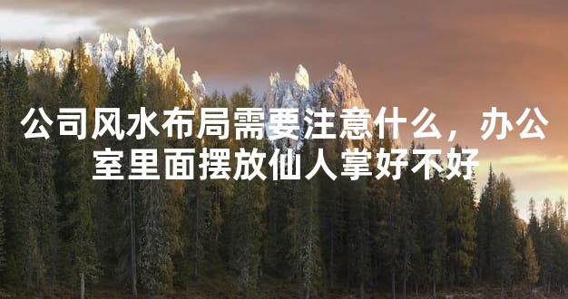 公司风水布局需要注意什么，办公室里面摆放仙人掌好不好